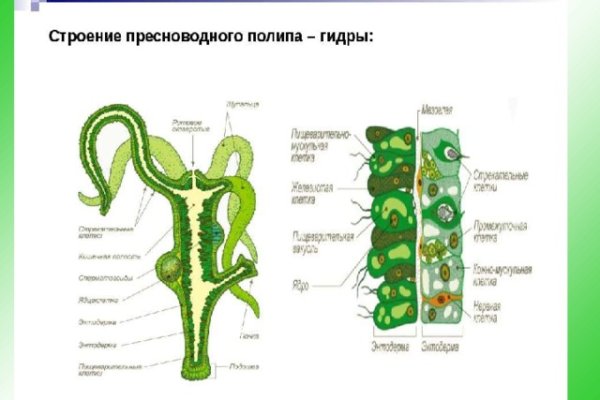 Через какой браузер можно зайти на кракен